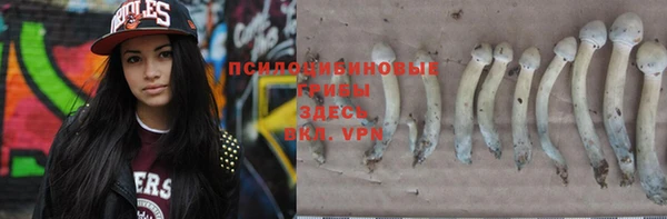 винт Алексин
