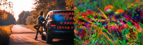 прущая мука Алексеевка