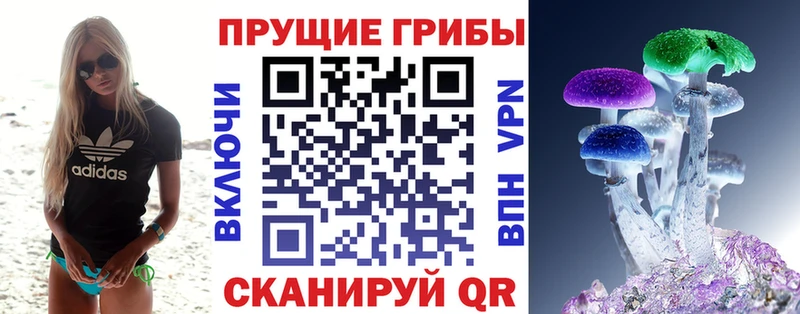 Галлюциногенные грибы ЛСД  даркнет сайт  blacksprut вход  Звенигово 