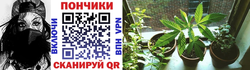 Шишки марихуана Bruce Banner  blacksprut ONION  Звенигово  наркошоп 